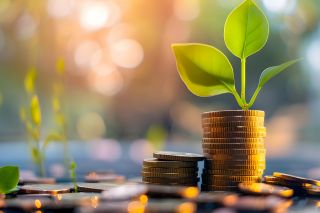 © Poorna Himasha - stock.adobe.com Foto: Pflanze wächst aus Münzstapel